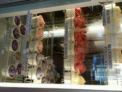 android_upload_pic-Kate's Berry Farm