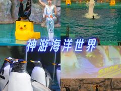 -威海华夏城景区