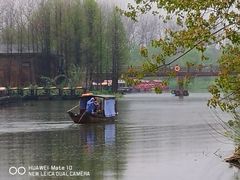 -溱湖国家湿地公园