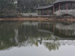 -岳麓山风景名胜区