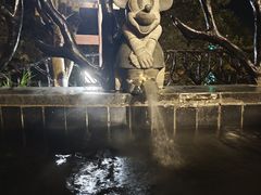 -宜春明月山维景国际温泉度假酒店