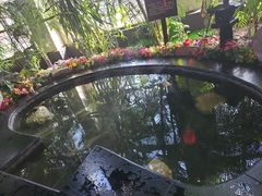 -东方华地城湿地温泉度假区