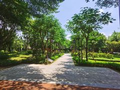 -顺峰山公园