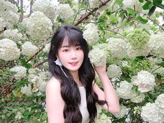 -大龙山(地铁站)