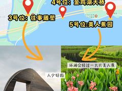 -金鸡湖景区