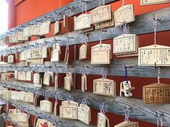 -成都濑川外国语学校