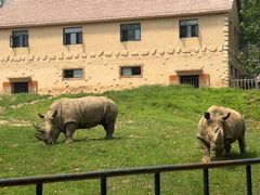 -大连森林动物园