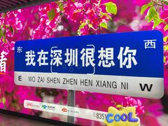 -宝安中心(地铁站)