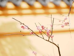 -无锡梅园公园
