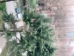 -虹迎轩·中餐厅(虹桥迎宾馆店)