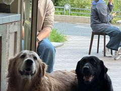 -MORNING GOOD Bistro(翰林府店)