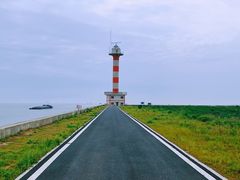 -合肥滨湖国家森林公园