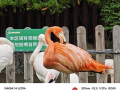-上海野生动物园