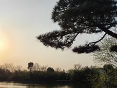 -新荣记(西溪湿地店)