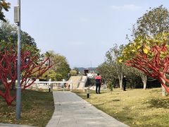 -牛岗山公园
