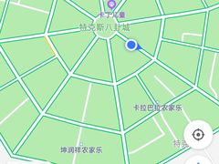 -马白开来特色羊排揪片子  (总店)