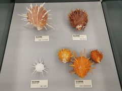 -天津古林古海岸遗迹博物馆