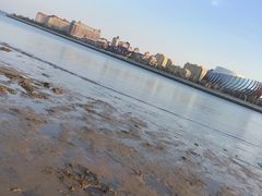 -嘉年华大酒店琴湾-自助餐厅