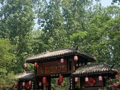 -合肥滨湖国家森林公园