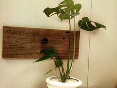 -隐溪茶馆(静安寺店)