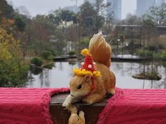 -云溪植物园