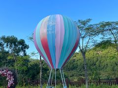 -广州白江湖森林公园