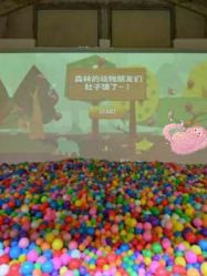 -恐龙探索乐园(磁器口店)