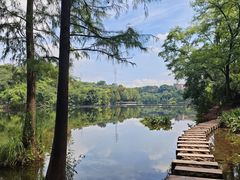 -重庆彩云湖湿地公园