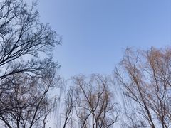 -元大都城垣遗址公园