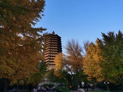 -玲珑塔公园