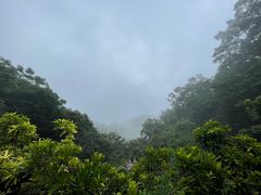 -广州市帽峰山景区