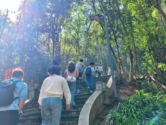 -成都老君山