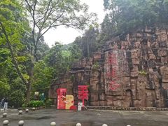 -江西阳明山国家森林公园