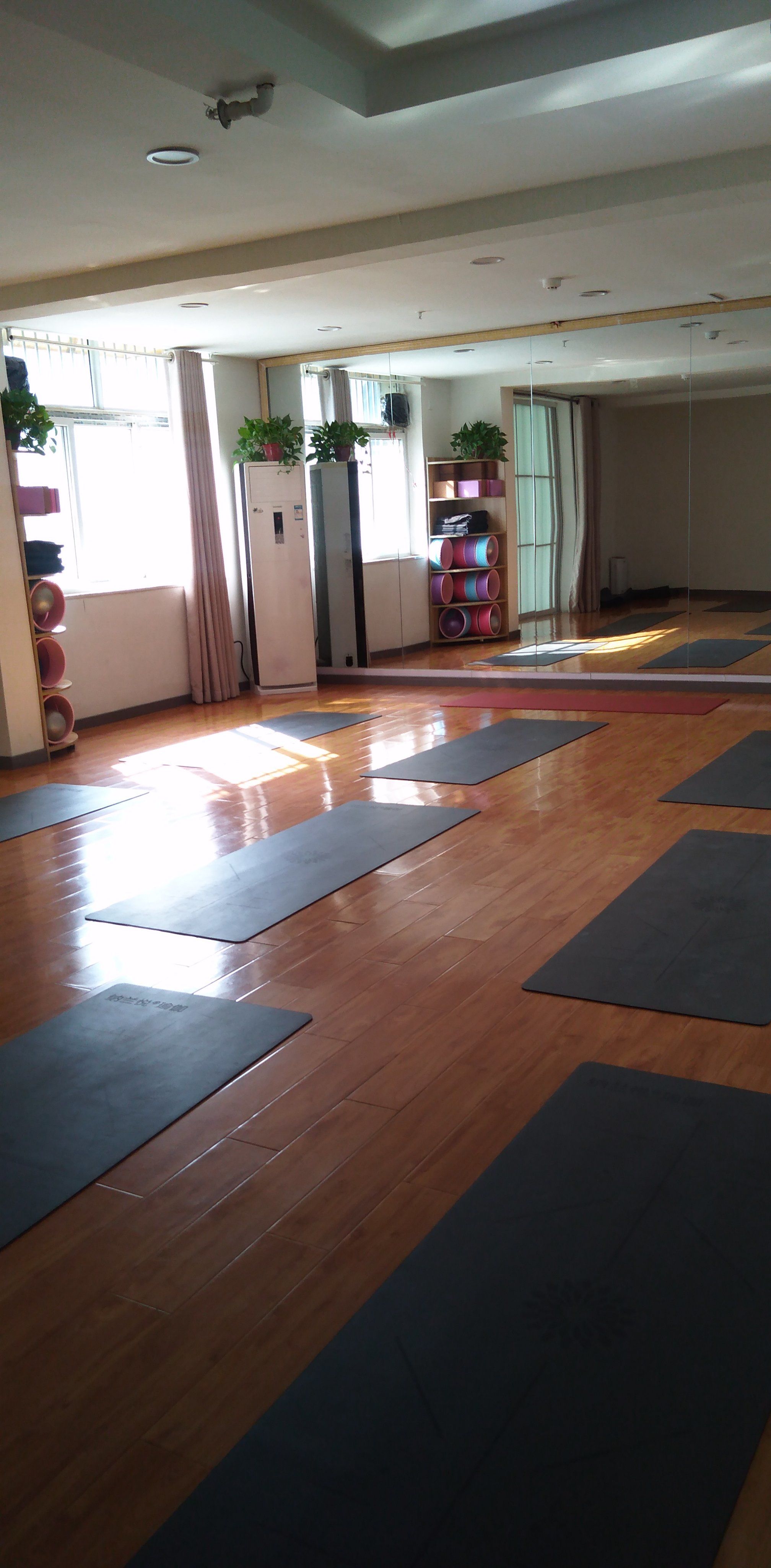 济南必须开的瑜伽馆