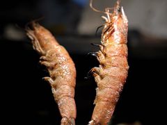 -乌君·酒场·炭火烧鸟(侨城坊店)
