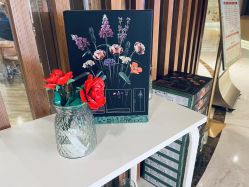 -妈咪呗呗月子中心(市心店)
