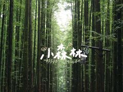 -山王坪喀斯特国家生态公园