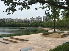 -新江湾城公园