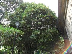 -紫金山天文台