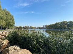 -长春世界雕塑园冰雪艺术天地