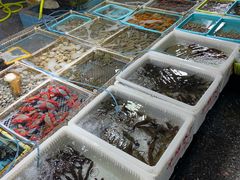 -霞涌市场海鲜摆卖区