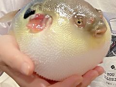 -永安鱼庄·镇江菜(东吴路店)