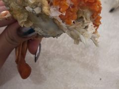 -辉记虾塘海鲜农庄