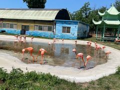 -秦皇岛野生动物园
