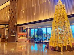 -东方美谷JW万豪酒店·The lounge大堂吧