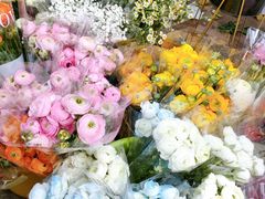 -循礼门鲜花花市(武汉循礼门店)