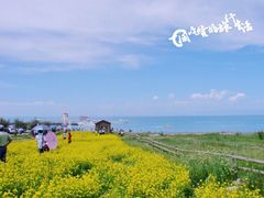 -青海湖国家重点风景名胜区