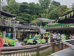 -圣淘沙天际线斜坡滑车