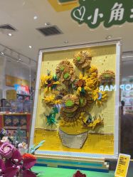 -乐高授权专卖店(岭南站NOVA店)