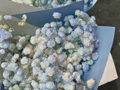 -循礼门鲜花花市(武汉循礼门店)